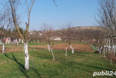 Teren de 2200 mp, în Central - 5