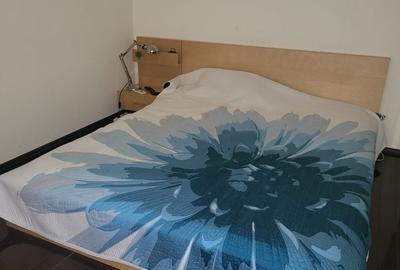Apartament 2 camere, la 15 min de Piata Victoriei, 600 Euro/luna - 6