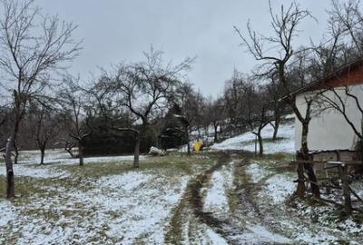 Coas, cabana, 28 ari teren - 1