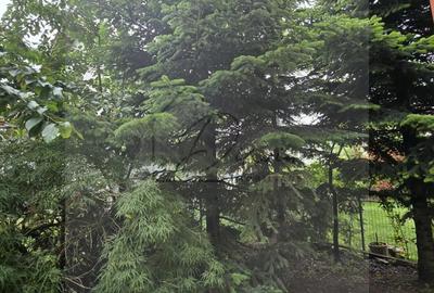 Vila 5 camere LUX Voluntari - Cartier Henri Coanda Vila 5 camere LUX Voluntari - Cartier Henri Coanda - 2