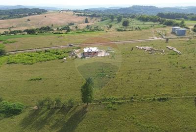 Teren 9,900mp Berinta cu deschidere la 2 drumuri. - 1