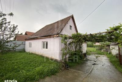 Casă cu 3 camere cu Teren 980 Mp în Central - 3