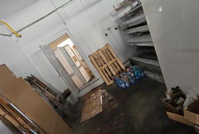 Spațiu comercial, de 395 mp, în Săvinești - 9