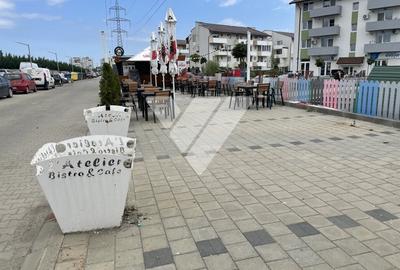 Teren de 121 mp situat pe Calea Cisnadiei Teren de 121 mp situat pe Calea Cisnadiei - 6