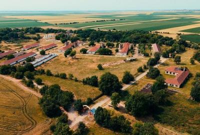 Ferma complet utilată – 30 ha teren comasat cu 11.500mp grajduri renovate Timiș - 1