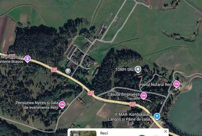 Teren Construcții intravilan de 42201 mp, în Reci - 2