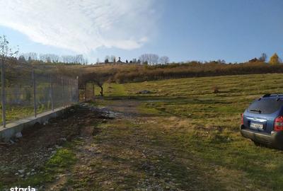 Spațiu comercial, în Voila - 3