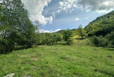 Teren 2 hectare pe Valea Ariesului, zona Scarita-Belioara, pret oportun 2 Eur/mp - 1