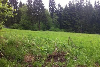 Teren intravilan Cotul Donului,pretabil Hotel/pensiune. - 12