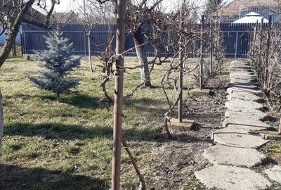 Casă individuală cu 3 camere cu Canalizare în Bogdăneștilor