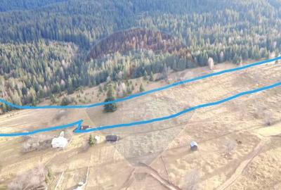 Teren de 26232 mp, în Dorna-Arini
