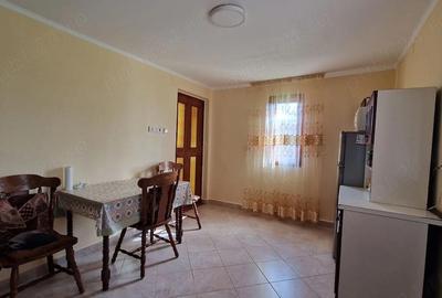 Casă cu 2 camere cu Teren 2700 Mp în Măhăceni - 1