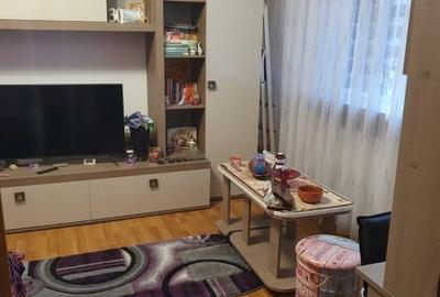 Apartament cu 2 camere semidecomandat, mobilat în Exercițiu - 3