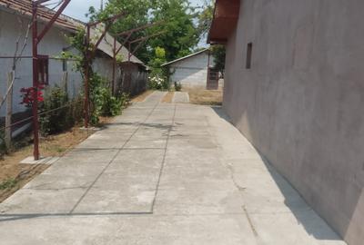 Casă cu 3 camere cu Teren 1700 Mp în Central - 10