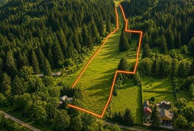 Teren Construcții intravilan de 7800 mp, în Lunca Bradului - 2