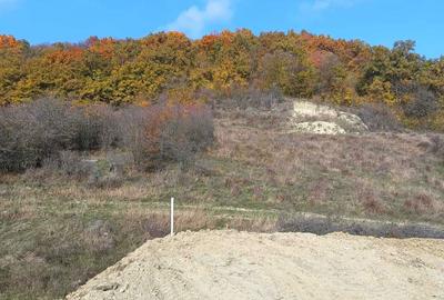 Spațiu comercial, în Corunca