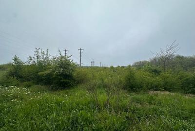 Teren de 46000 mp, în Central - 11