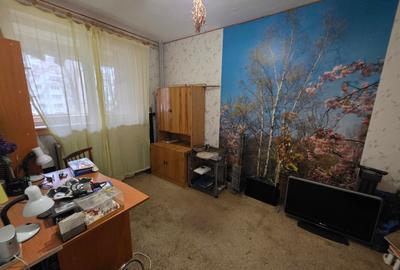 Titan, chiar la intrare in Parcul IOR, pe Lunca Bradului, la Scoala 195 - 10