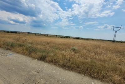 Teren extravilan - 2.622 mp, in zona Ciocarlau Teren extravilan - 2.622 mp, in zona Ciocarlau - 3