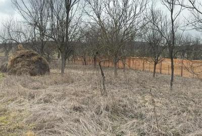 Teren de 1064 mp, în Bârlea - 3