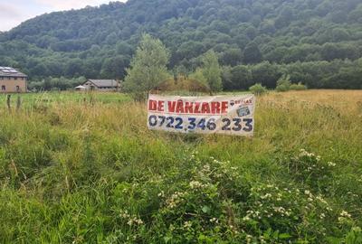 Teren extravilan, 2500 mp, Rasnov, Glajarie - 4