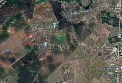 Teren Corbeanca - Tamasi - 1.163 mp - 4