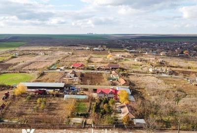 Vanzare ferma agricola Negru Voda - Constanta cu 240 hectare teren si utilaje - 3