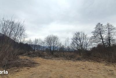 Teren de 2800 mp, în Sovata - 1