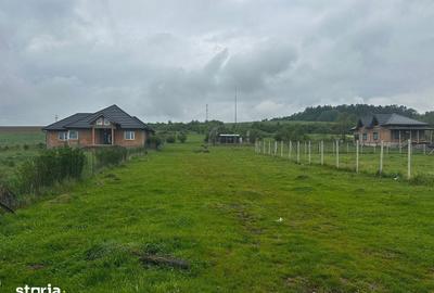 Teren de 1000 mp, în Șura Mică - 2