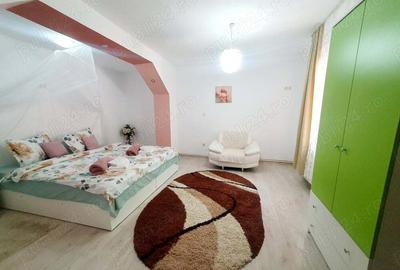 Afacere la cheie+ Casa de locuit in Berzasca-Dunare, mun?i ?i padure! - 3