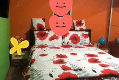 Casa de vanzare Casa de vanzare - 6