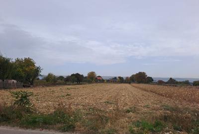 Teren de 2650 mp, în Schineni (Sascut) - 3