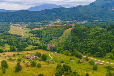 Teren Parcul National Bucegi/Str Glajarie Rau Mare/Panice... - 3