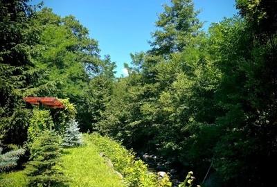 Vilă tip chalet pe malul Pârâului  Bistra - complet utilată, vedere liberă - 15