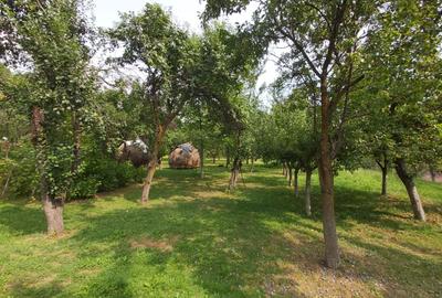 Oportunitate vanzare 6000 mp teren drept,superb toate utilitatile Breaza Prahova - 2