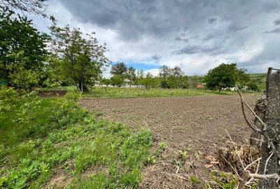 Casă individuală cu 4 camere cu Teren 4430 Mp în Tecucelu Sec - 17