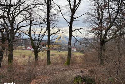 Teren de 10170 mp, în Dumbrăvița - 2