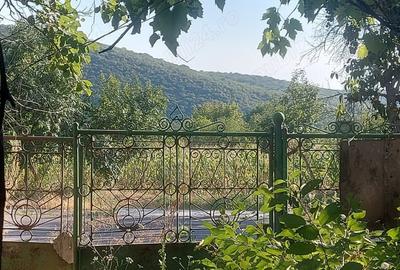 Casă cu 4 camere în Slava Rusă - 4