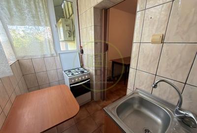 Apartament cu 2 camere decomandat, mobilat în Brazda lui Novac - 6
