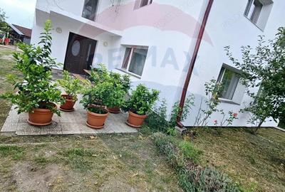 Casă cu 5 camere cu Teren 3072 Mp în Cicârlău - 7