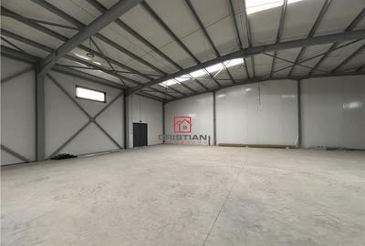 Depozit/hala/spatiu industrial Chitila - Centura, ILFOV - 2