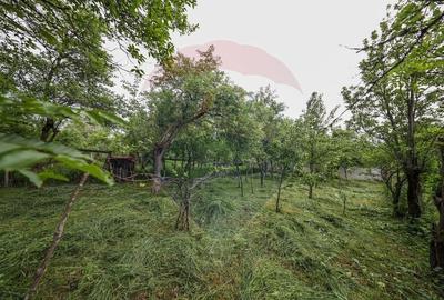 Casă cu 5 camere cu Teren 396 Mp în Ungra - 22