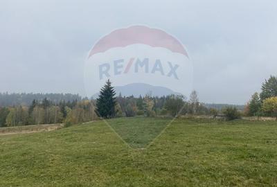 Teren Construcții intravilan de 8119 mp, în Călățele - 9