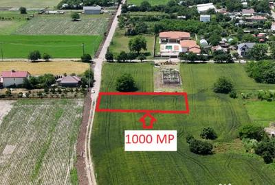Teren de 1000 mp, în Dascălu - 3
