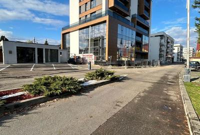 Spațiu comercial, de 460 mp, în Albert - 6