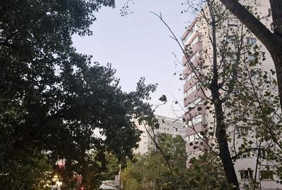 Dristor-Scolarilor - 9