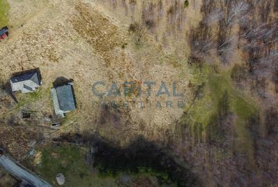Teren  CABANA/CASA, 10450 mp cu utilitati, Valea Fericirii, zona Rasca/Belis - 6
