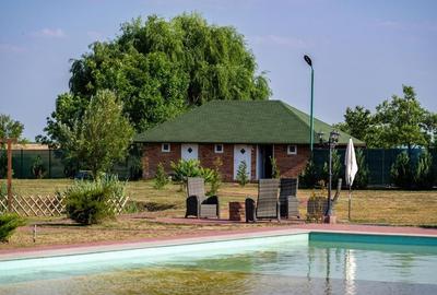Sala de evenimente cu  piscina si foisor Biled COMISION 0 % CUMPARATOR - 9