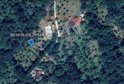 Teren Construcții intravilan de 4972 mp, în Bertea - 2