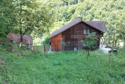 Cabana 3 cam,2 nivele 100 mp+teren extravilan 2,5 ha+1 ha pa - 1